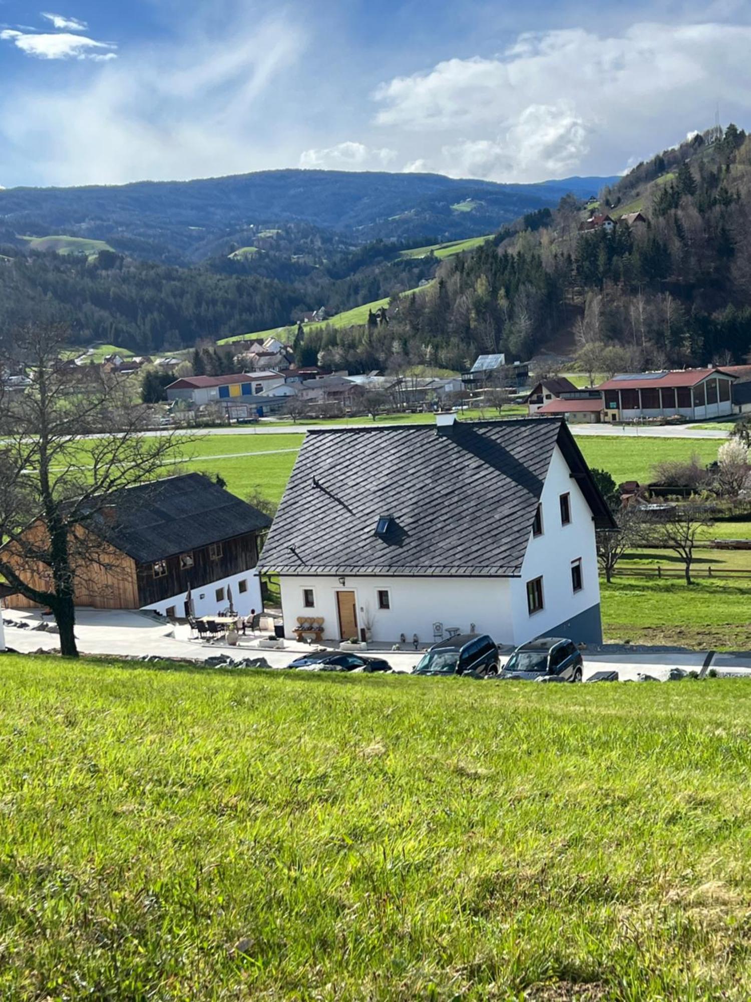 Eibiswald Sonnenschein Appartement- Und Ferienhaus Mit Terrasse Und Garten מראה חיצוני תמונה